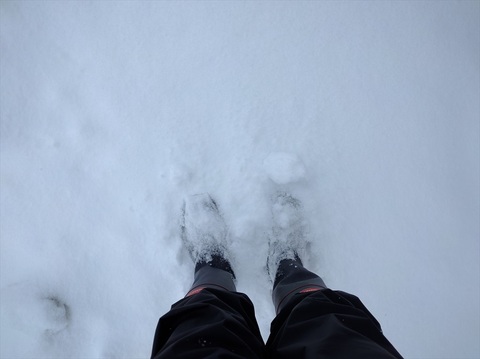 雪を歩く