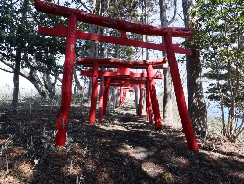 御箱崎神社の赤い鳥居群