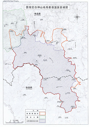 国指定白神山地鳥獣保護区区域図