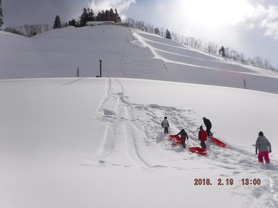 まっさらな雪の斜面をそりを持って登る児童たち