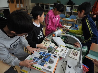 鳥や爬虫類、植物の図鑑や本をそれぞれ開き、目を落としている児童たちと、図鑑を指さす４年生