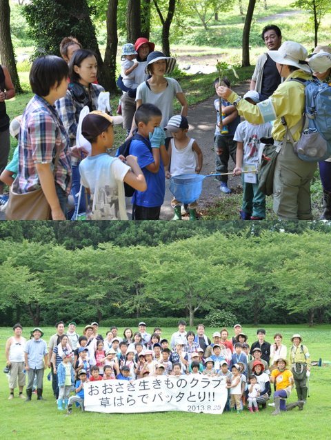 アクティブ レンジャー日記 東北地区 おおさき生きものクラブ 草はらでバッタとり 観察会