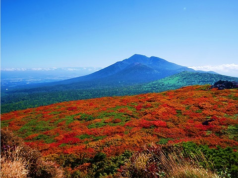 本州一早い？三ツ石山の紅葉 | 東北地方環境事務所 | 環境省