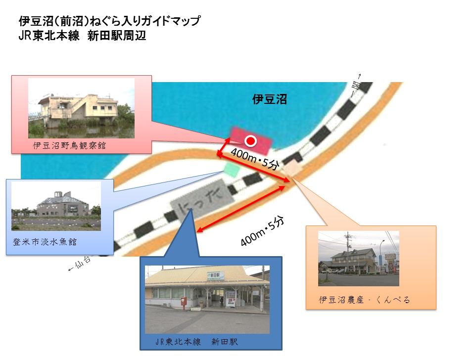 伊豆沼へ出かけてみませんか！ | 東北地方環境事務所 | 環境省