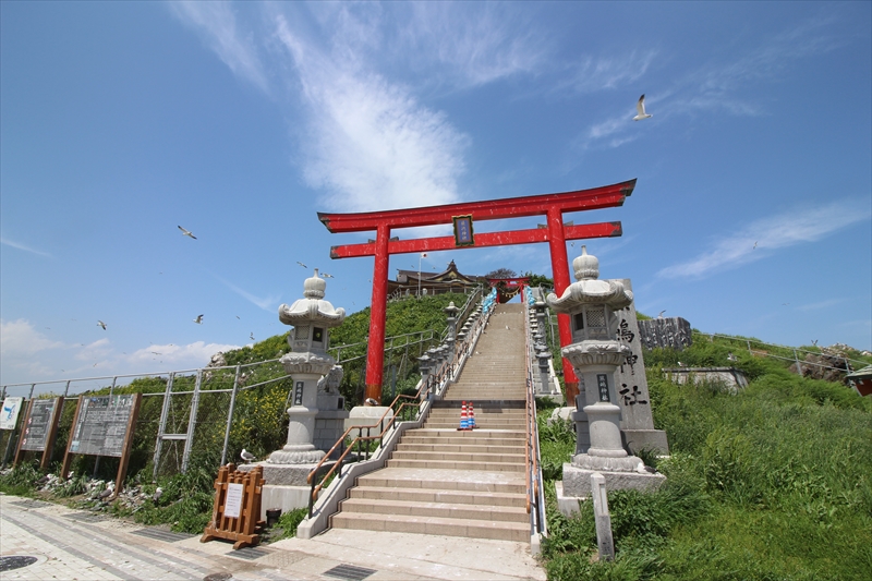 アクティブ・レンジャー日記 [東北地区]_三陸復興国立公園 八戸