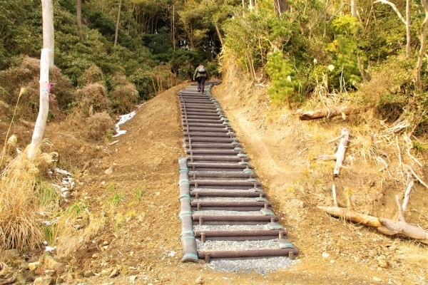 土の斜面に新たに作られた階段