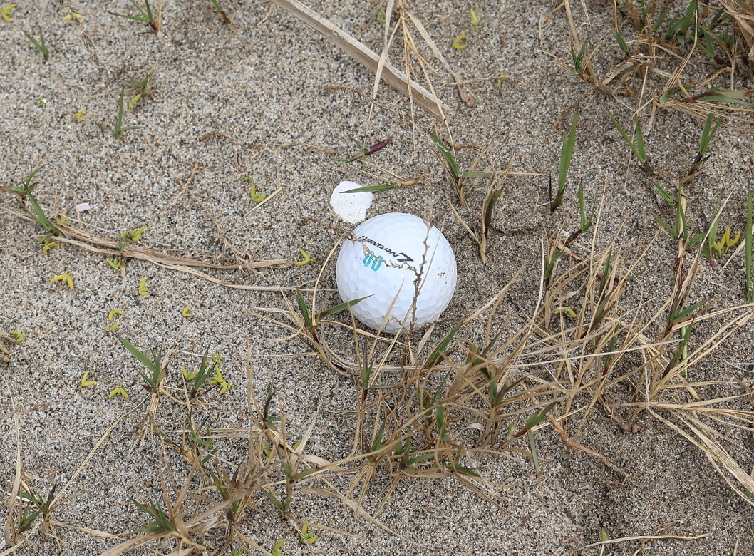看板近くで見つけたゴルフボール