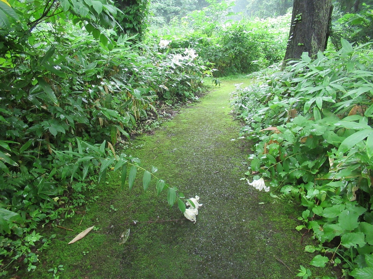 二夜の池