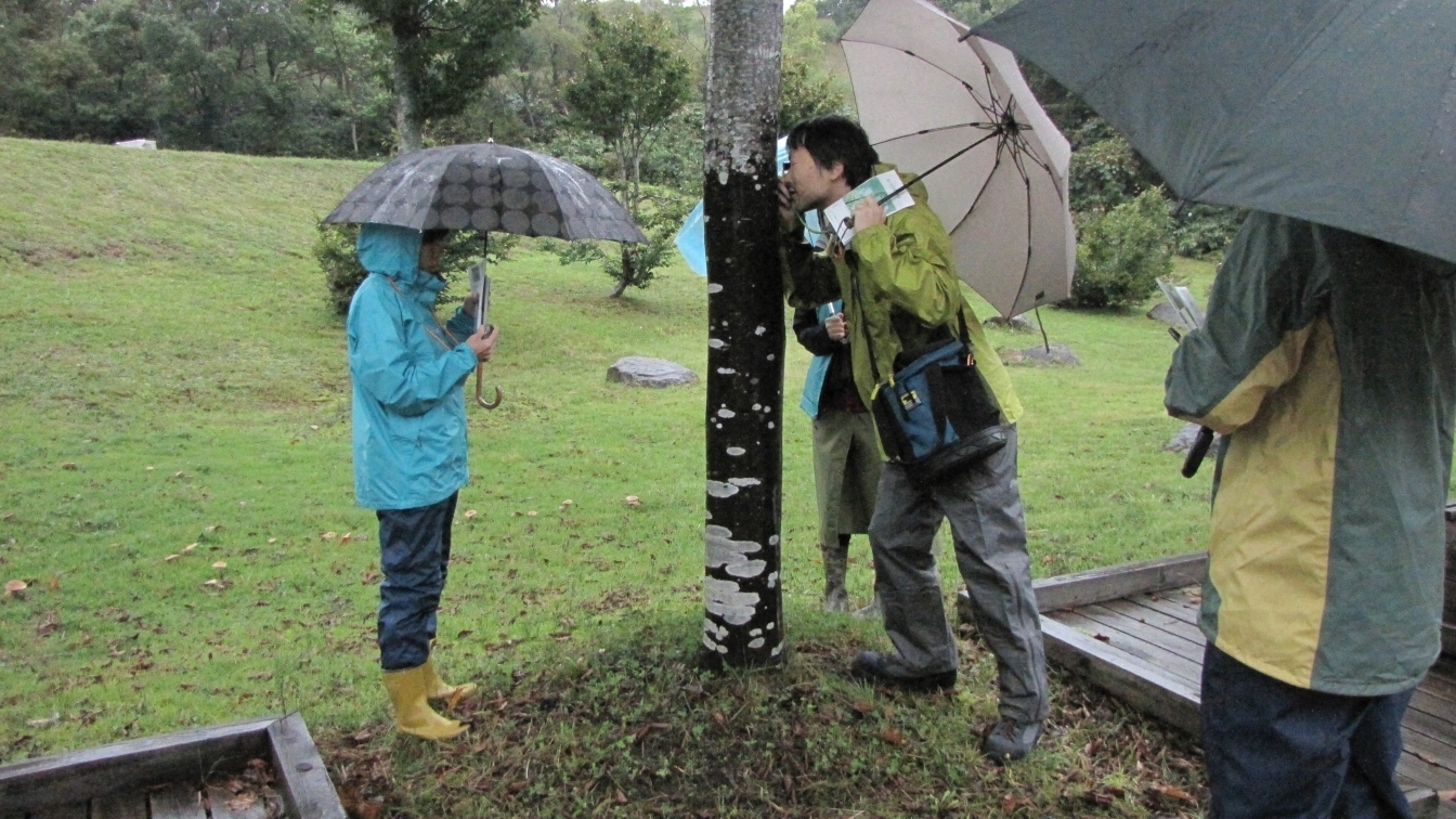 地衣類観察会スタート