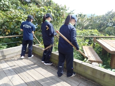 浄土ヶ浜の展望所を草刈りするインターン生