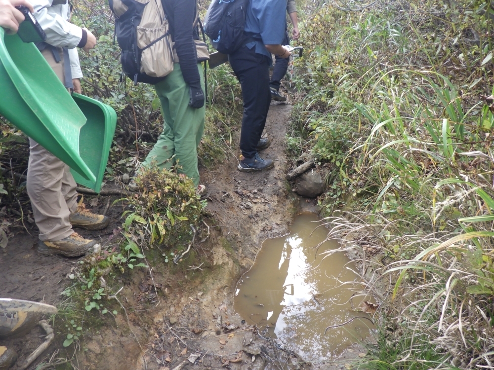 登山道に水が貯まっている様子