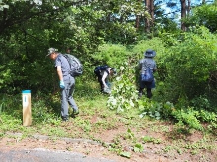 自然歩道の草刈りをするボランティア