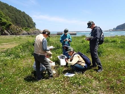 砂浜で植物を調べるボランティア