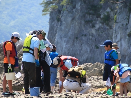 岩場で生き物を探す人