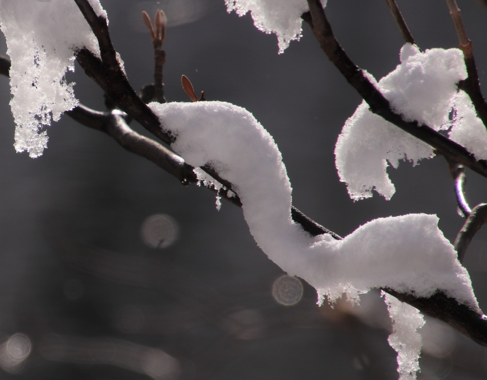 雪