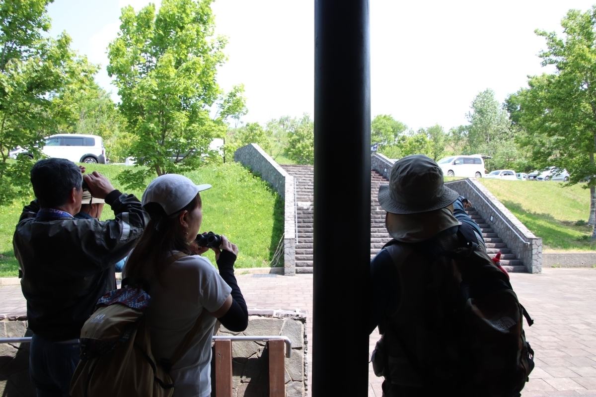 双眼鏡のレクチャー