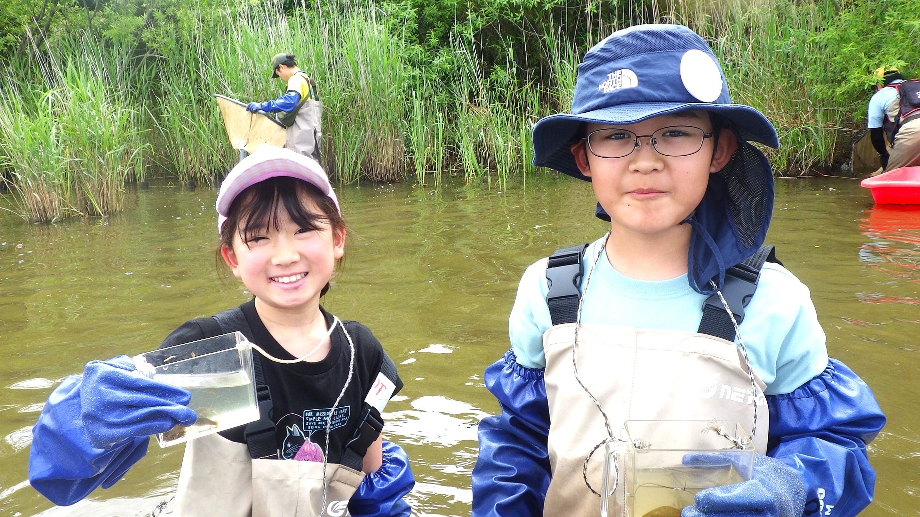 観察ケースで魚を観察