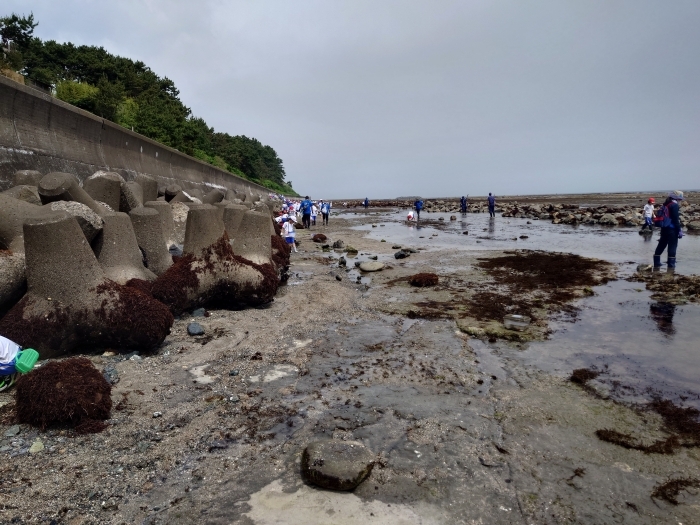 ＃小学校近くの海岸でゴミ拾い