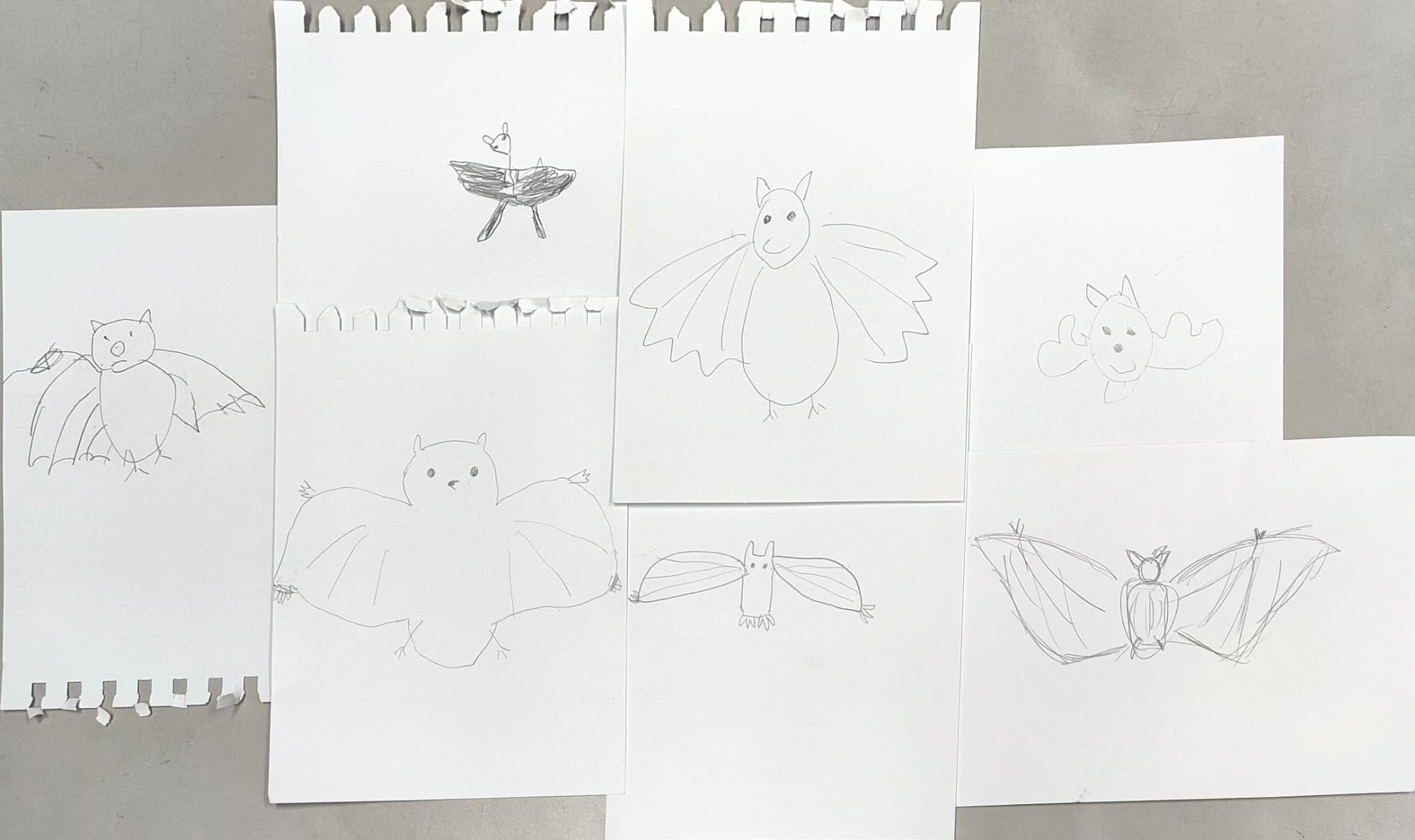 参加者が書いたコウモリ