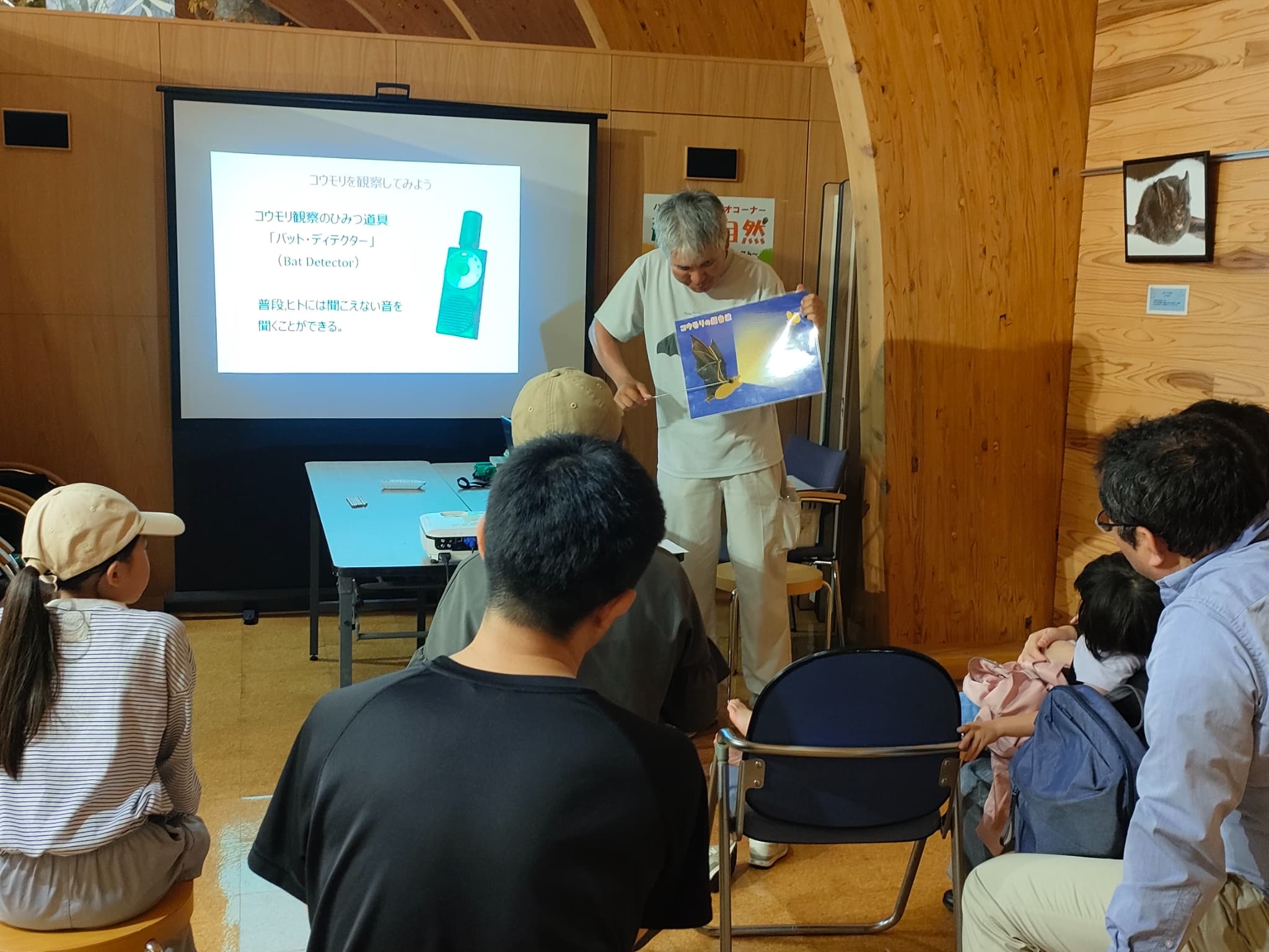 コウモリの超音波の説明