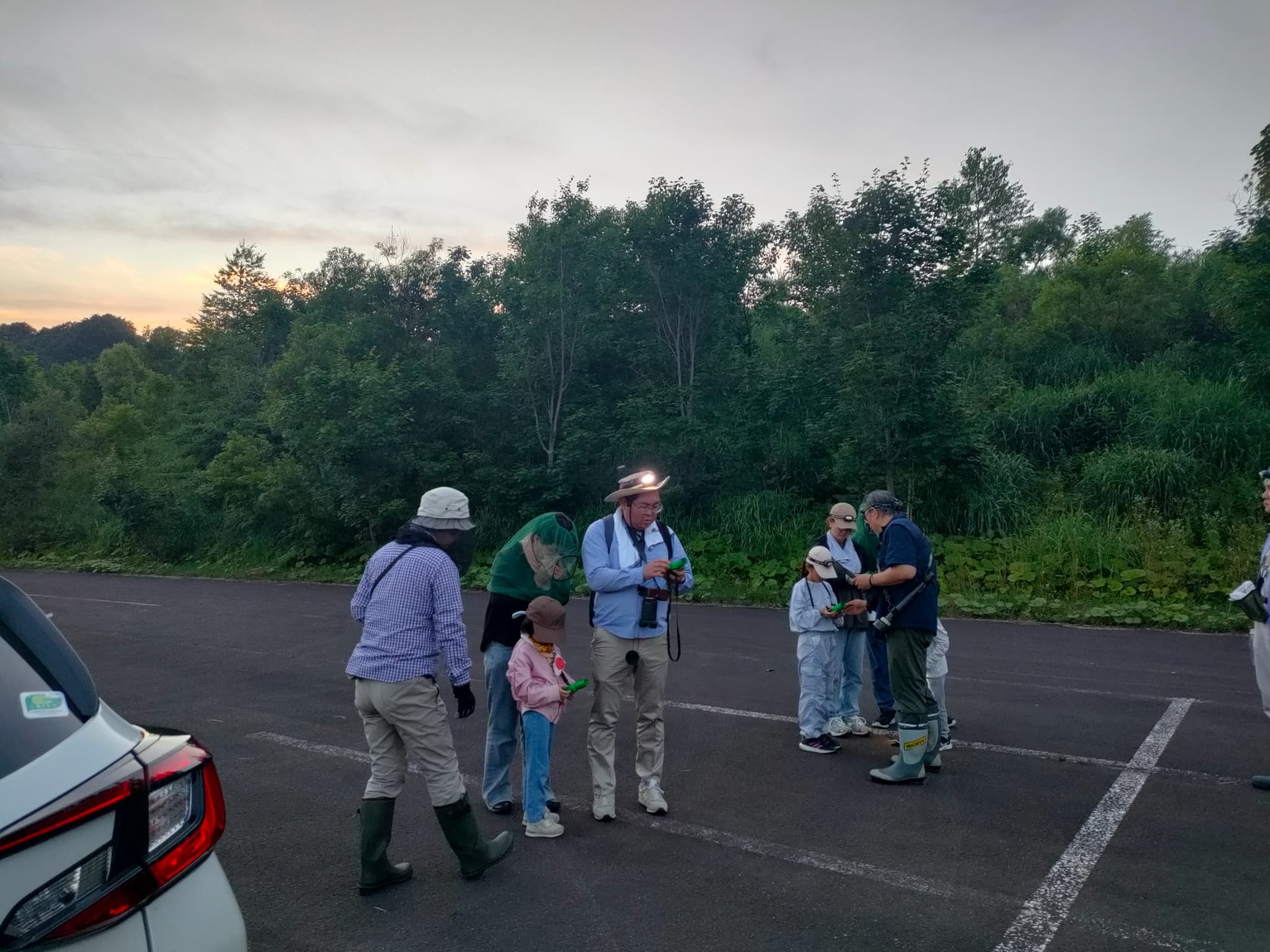 バットディテクター