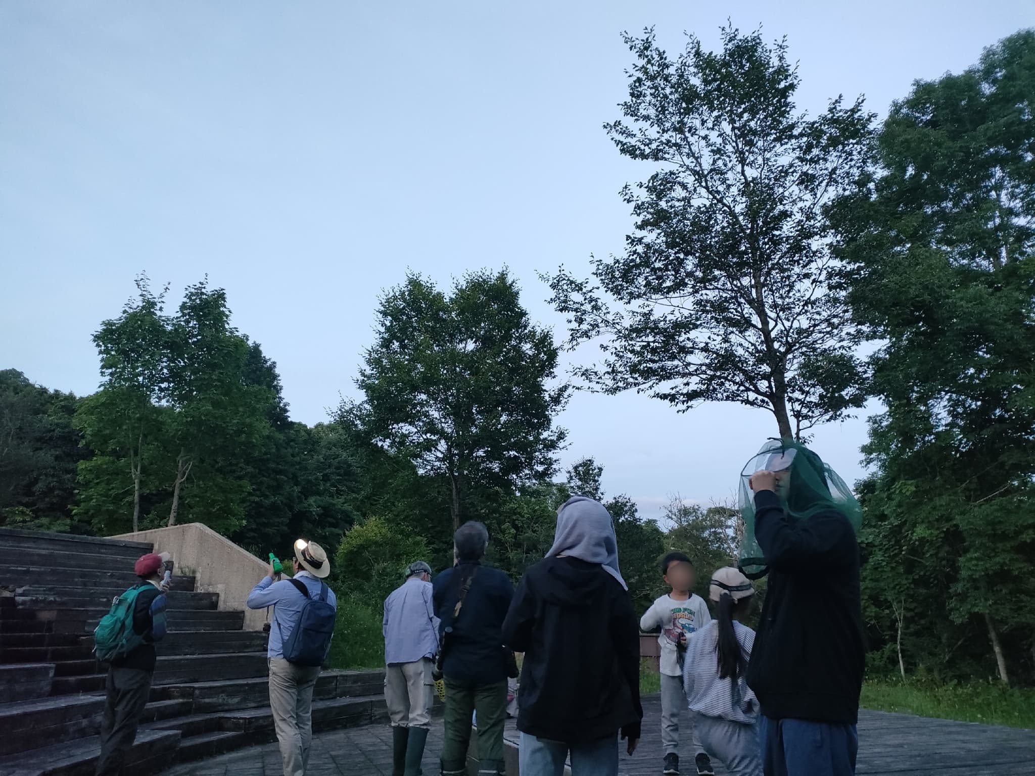 日没後の空にコウモリ