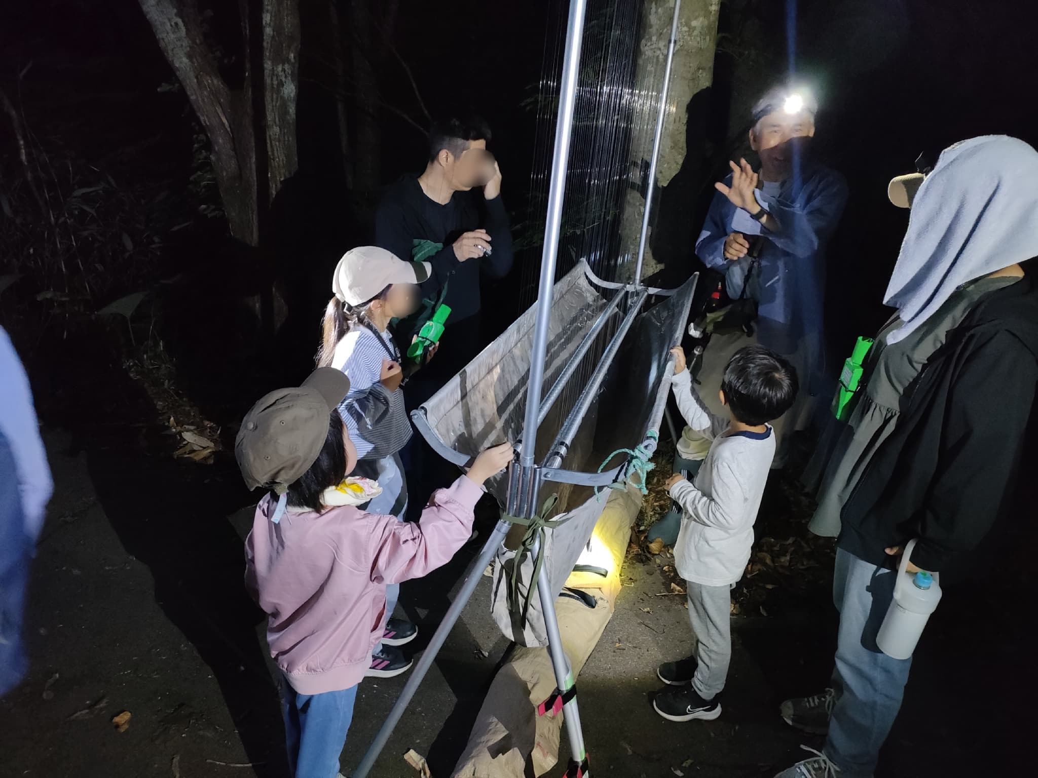 コウモリを捕えるハープトラップ