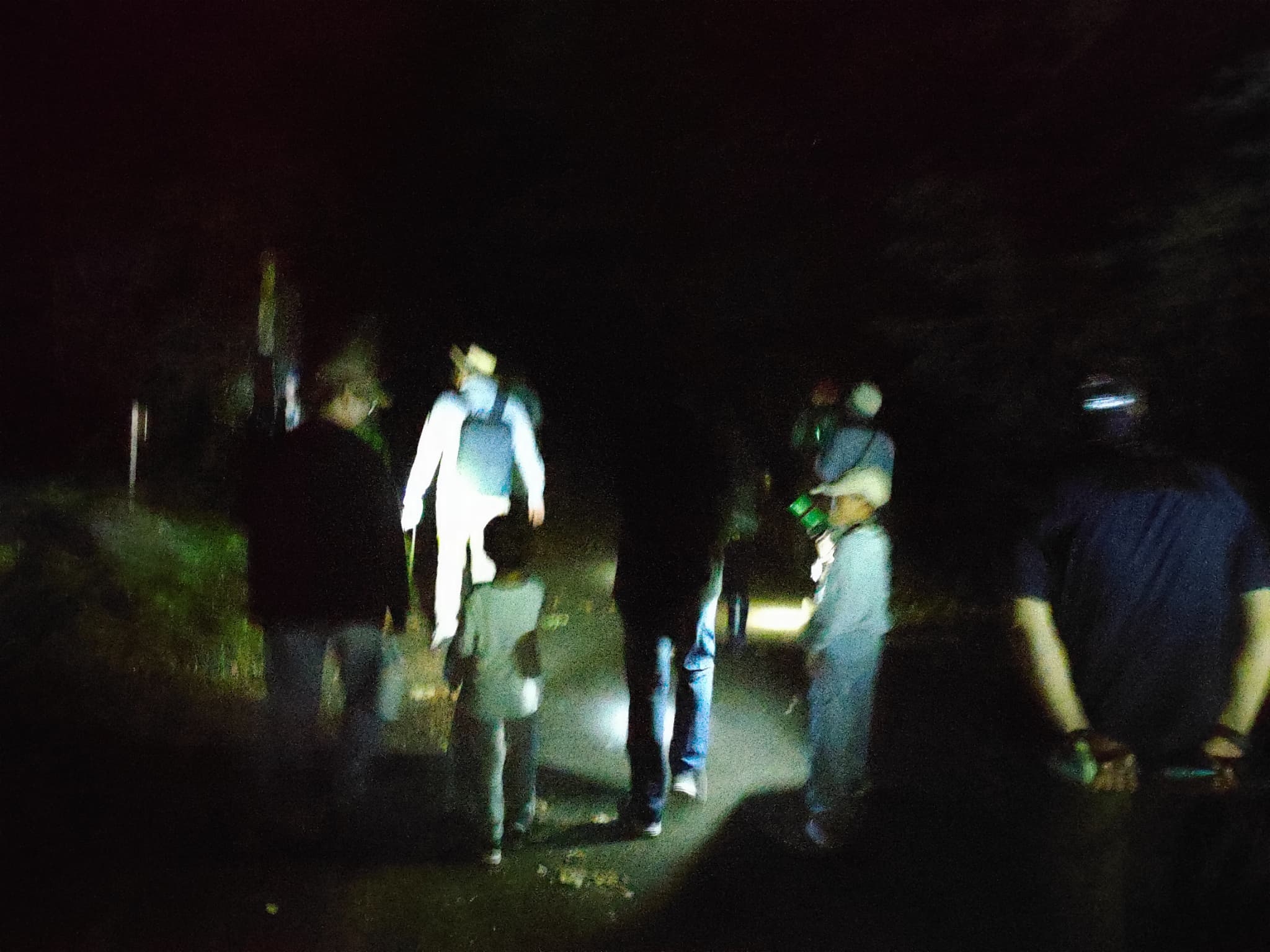 暗闇の中コウモリ探し