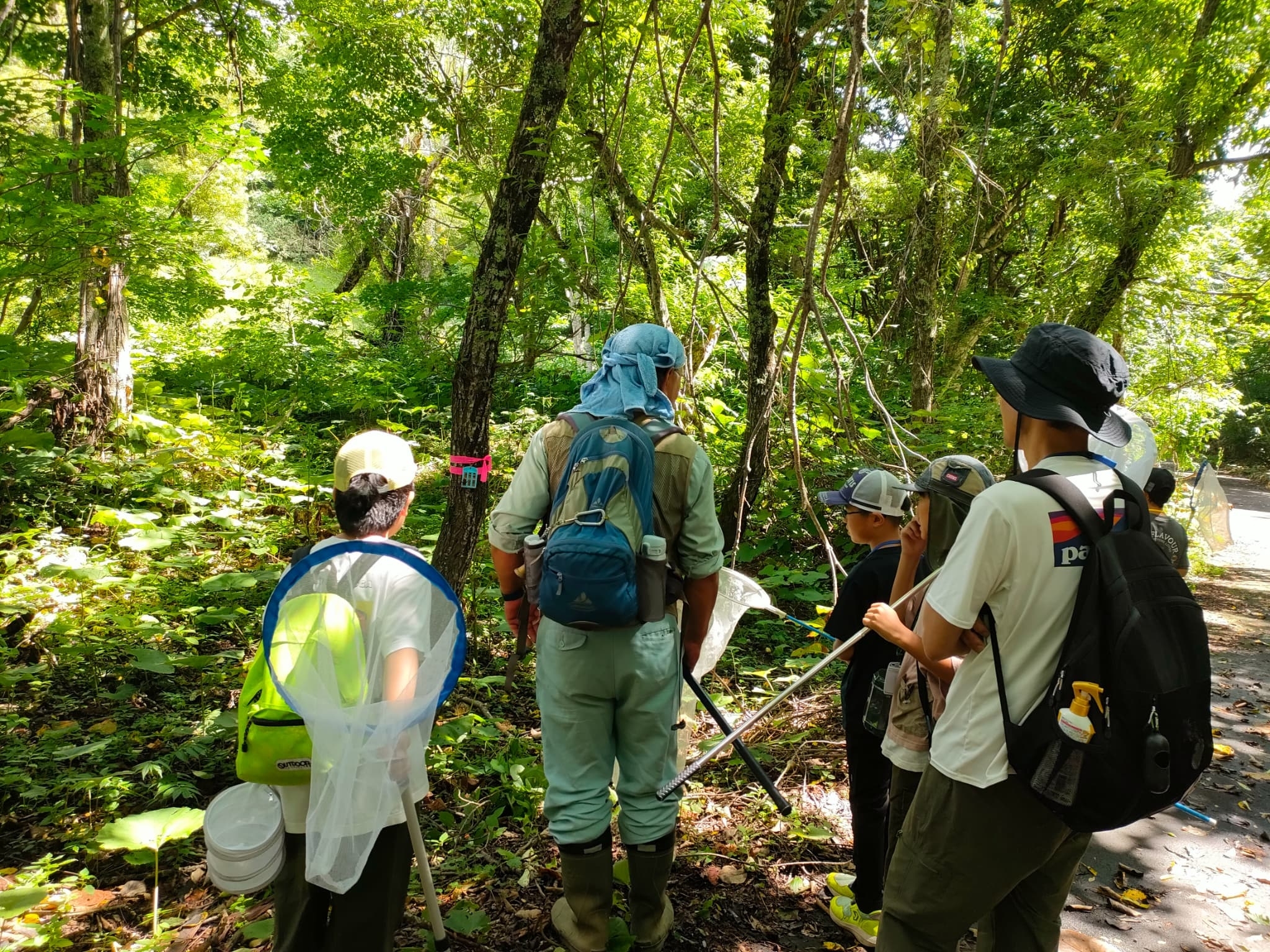 ベートトラップ