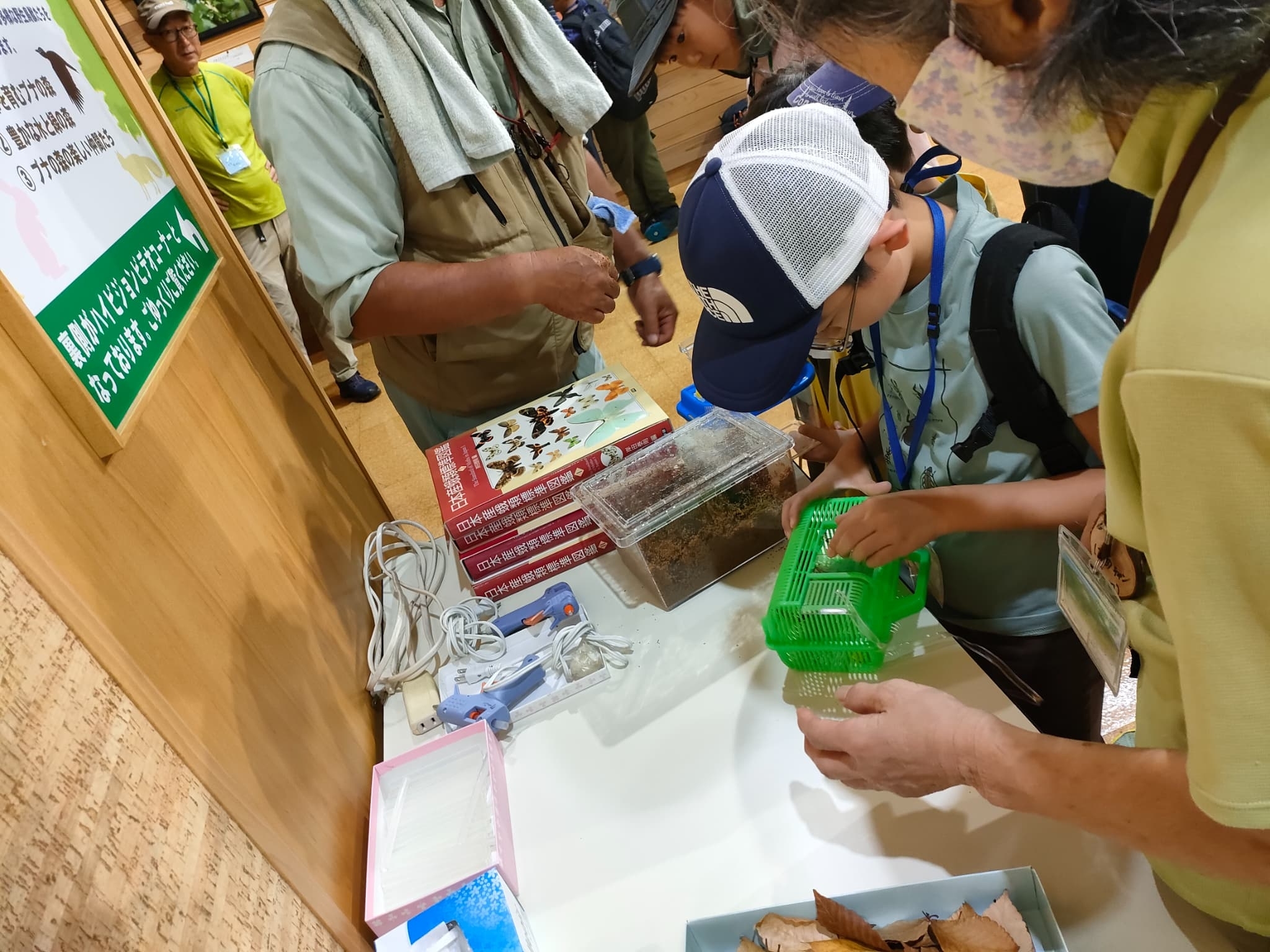 カブトムシの受け渡し