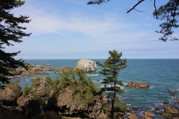 ＃ウミウの糞で真っ白の「白岩」.