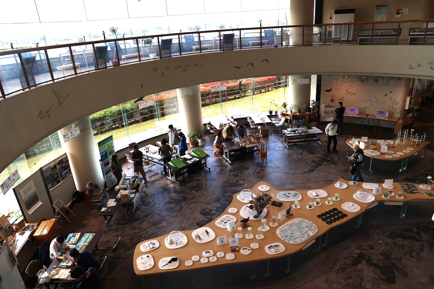 みらいへつなぐいきものフェスタに出展