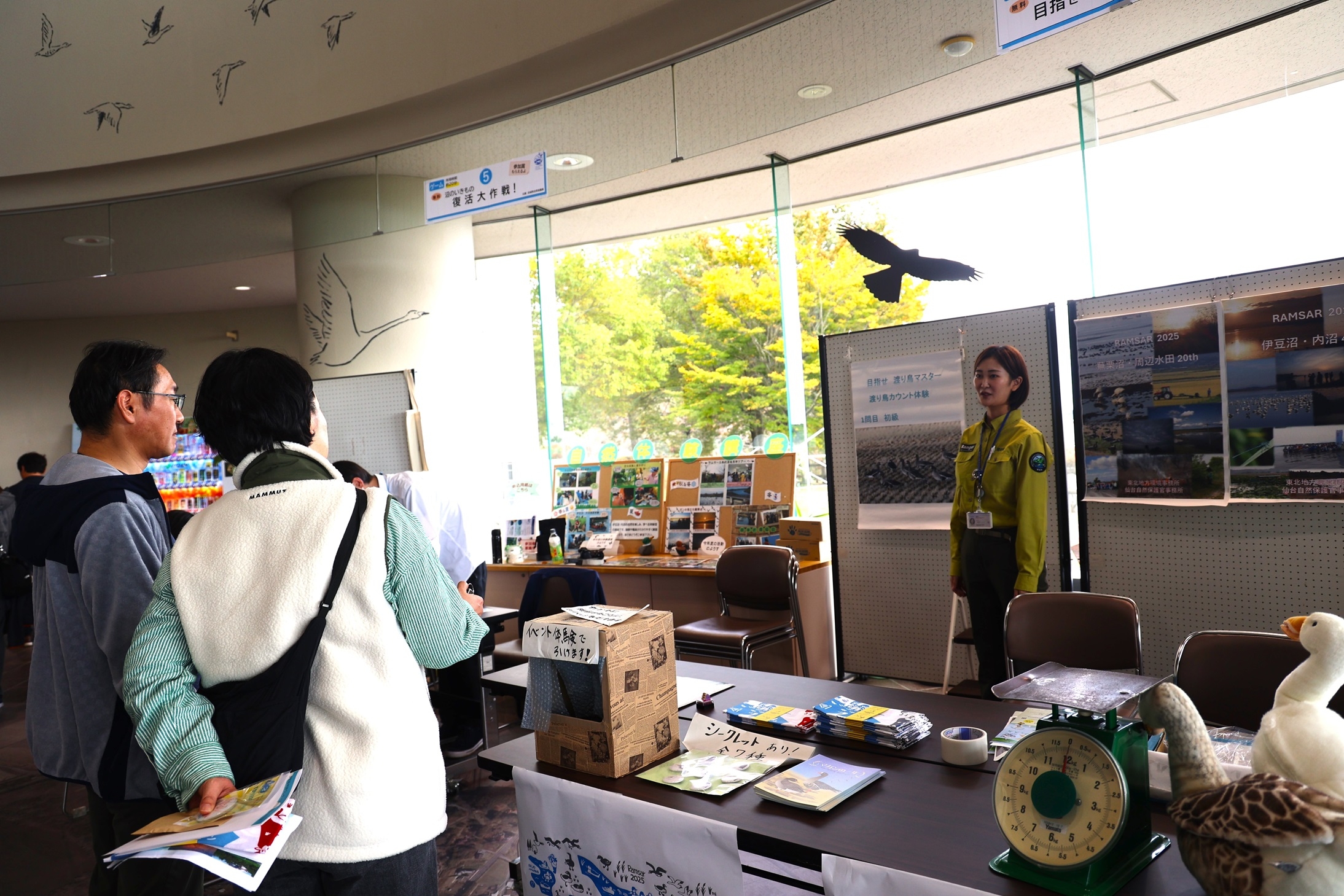 渡り鳥カウント体験