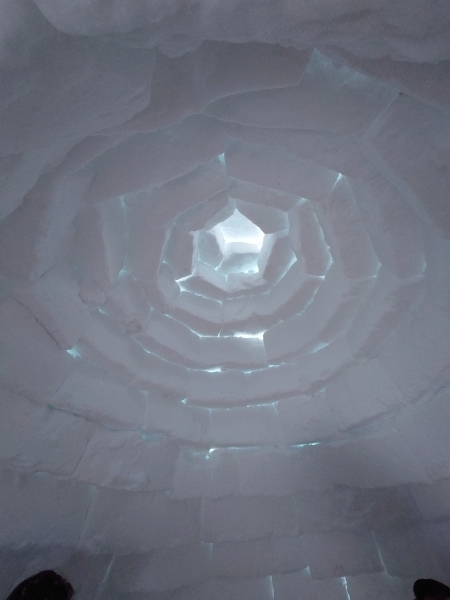 ＃イグルーの中から見上げる