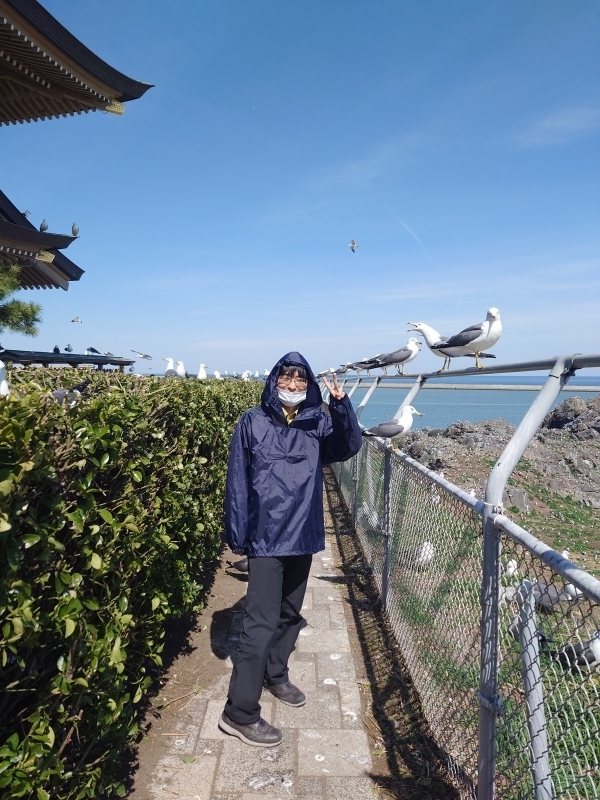 ＃好きな中華料理はレバニラと麻婆豆腐です。