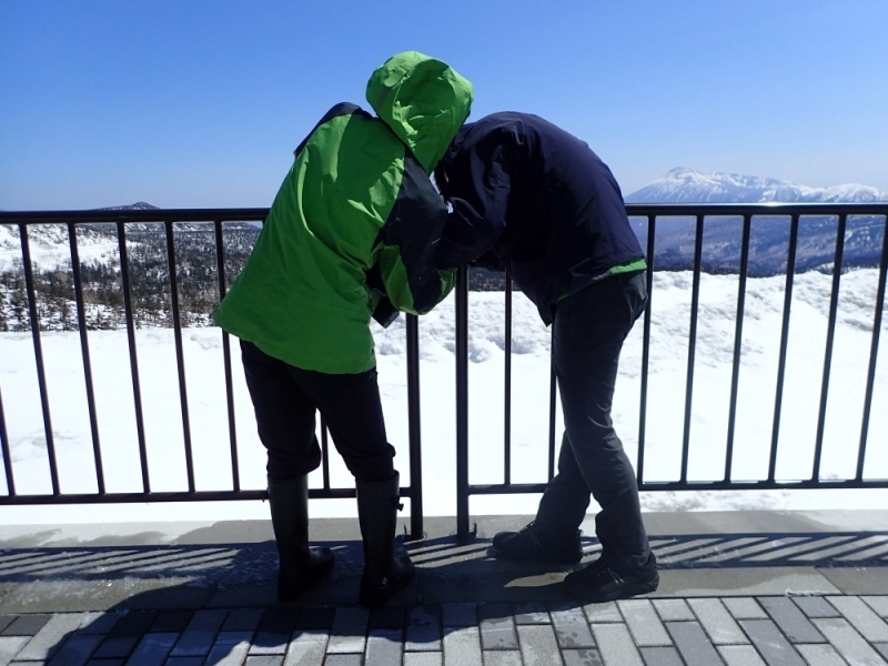 山