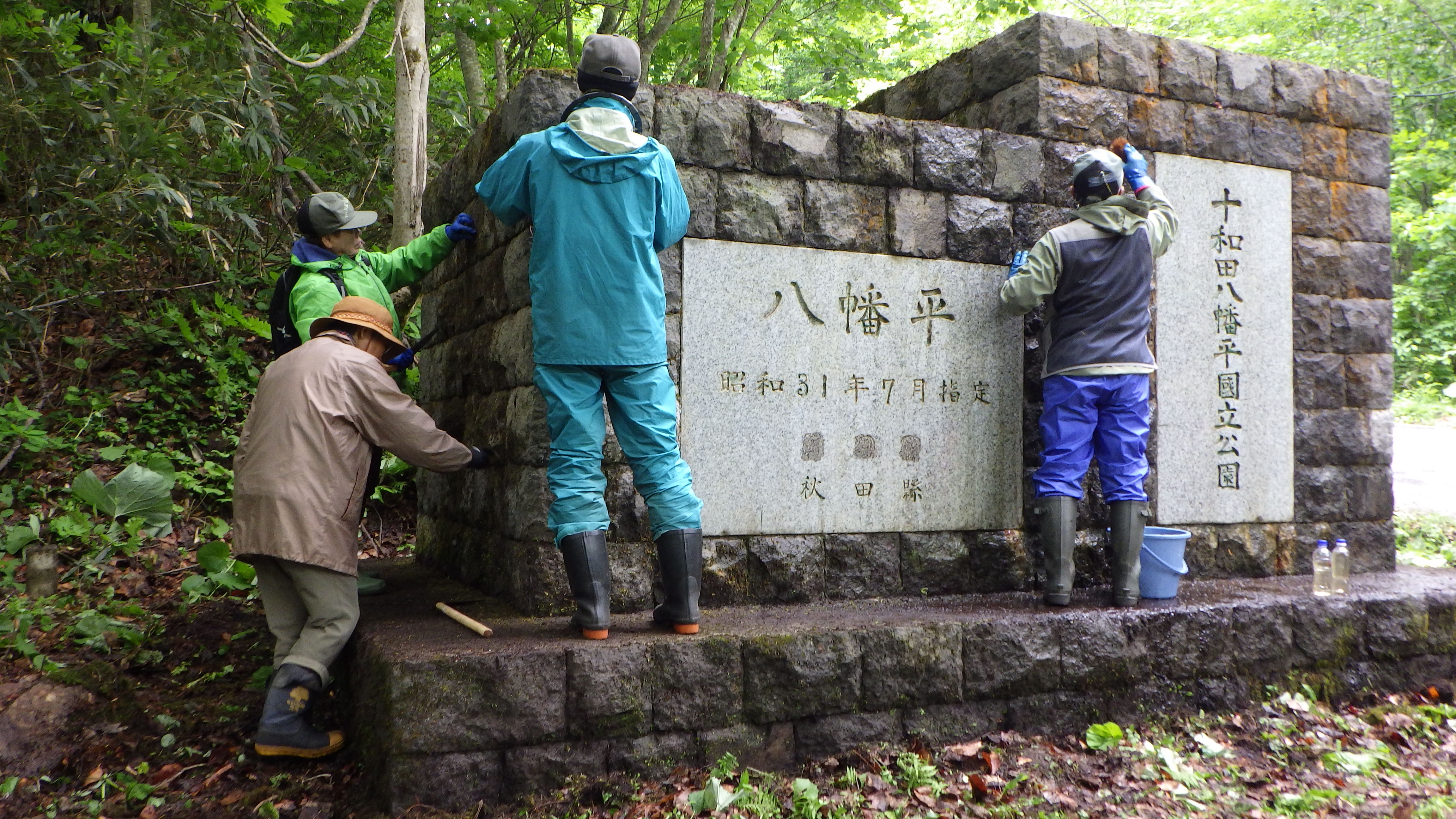 山