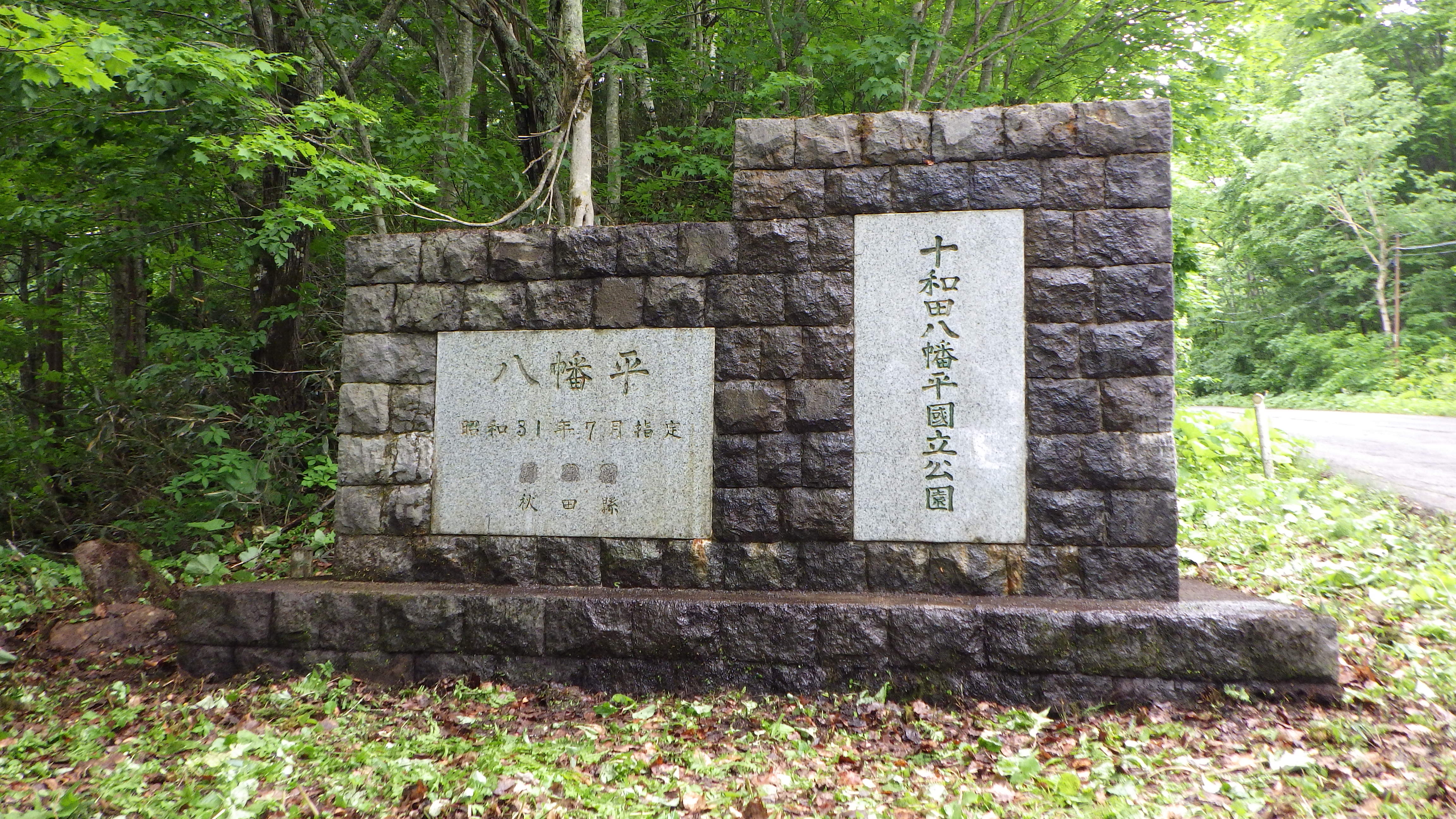 山