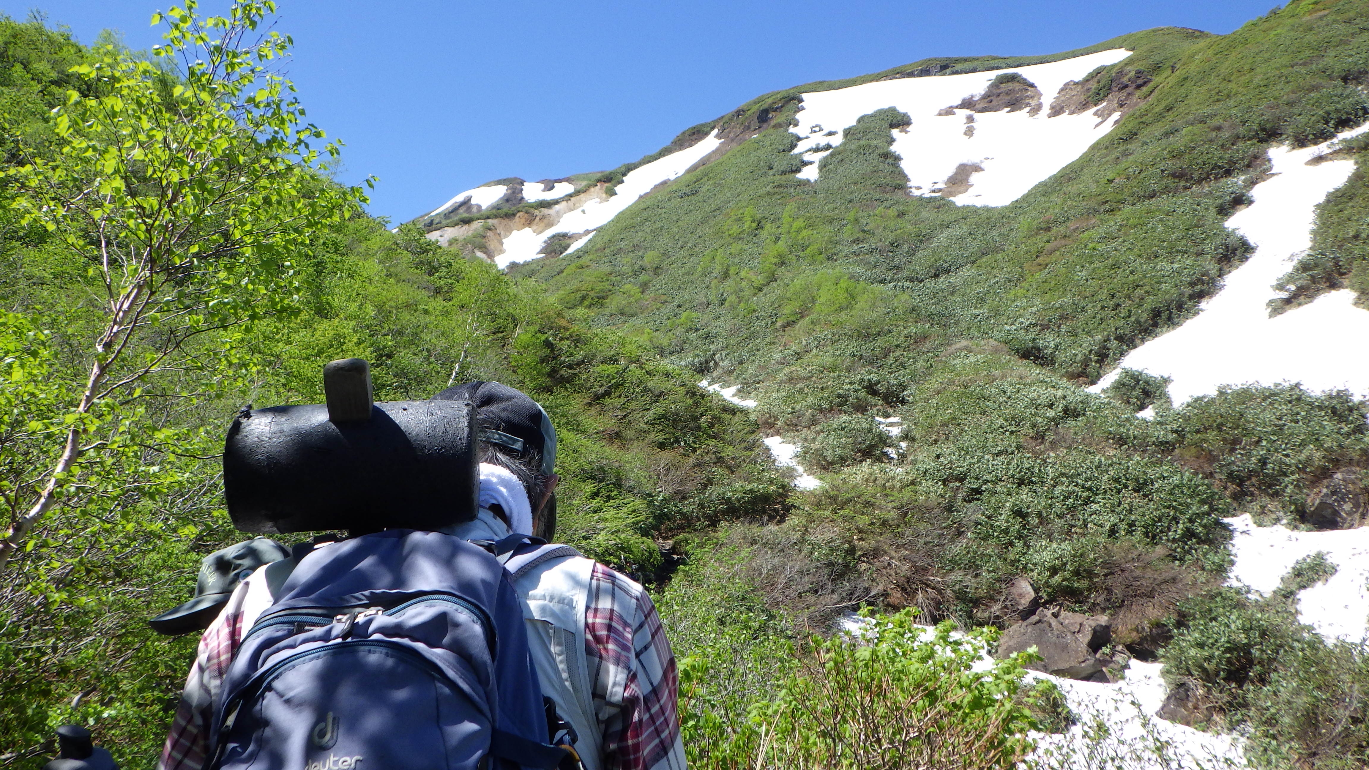 山