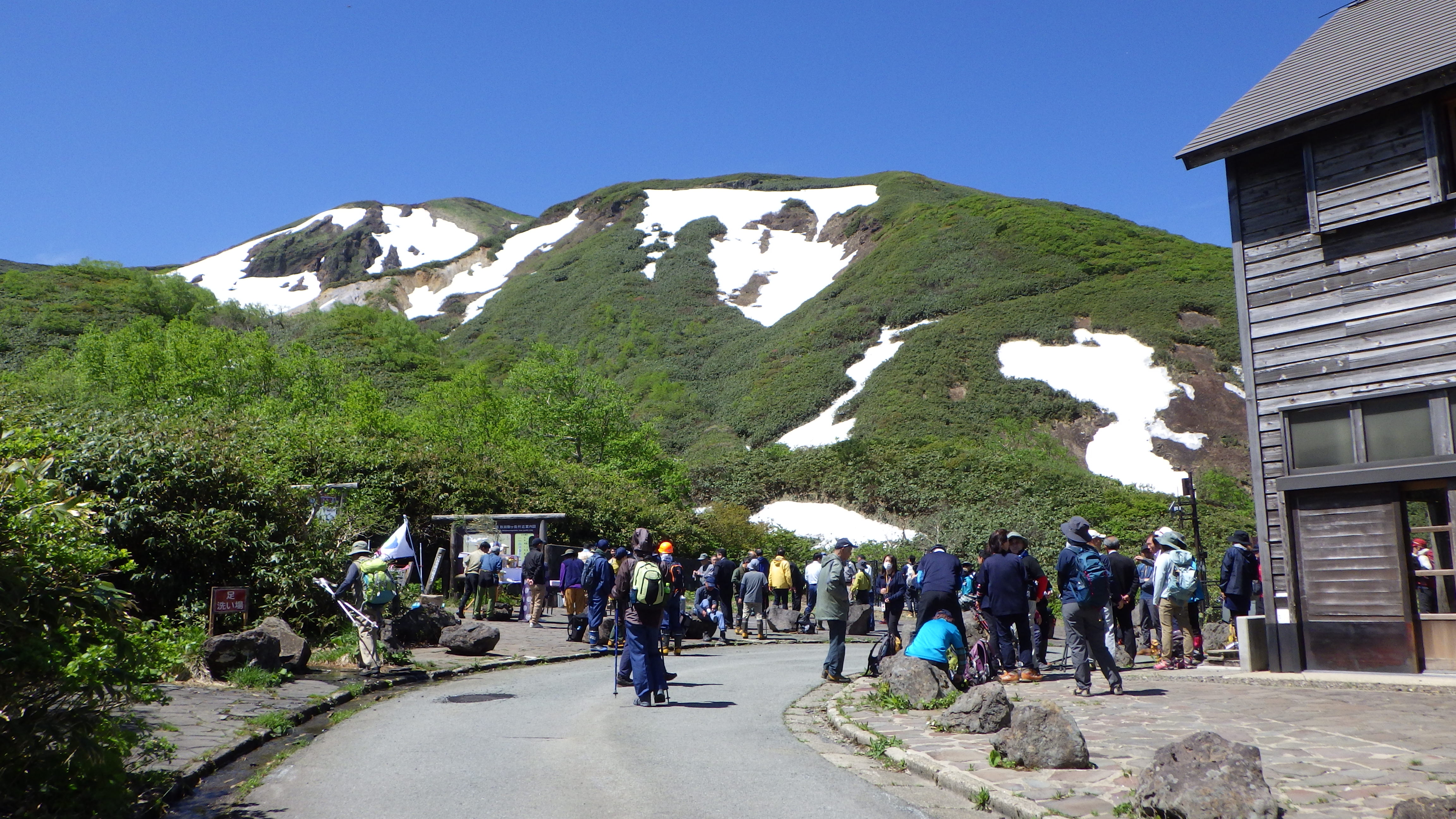 山