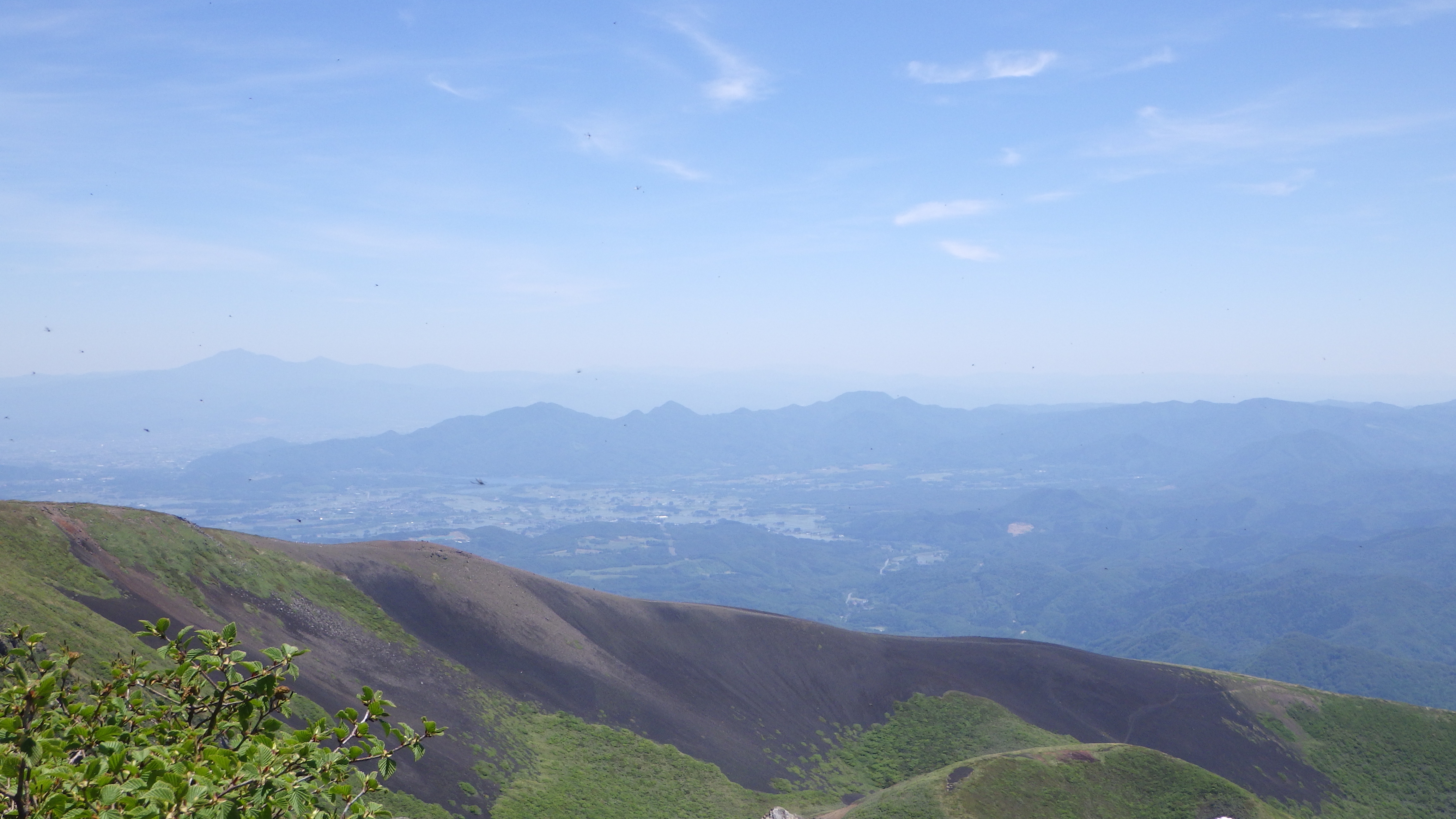 山
