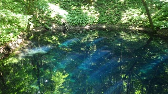 水面が青色に見える丸い池で、周りは緑の木に囲まれている