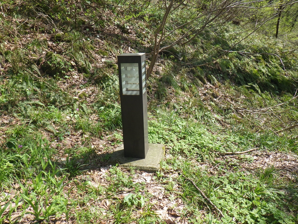 鷹ノ巣
