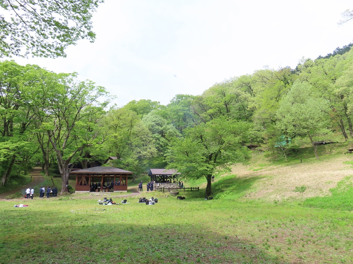鷹ノ巣