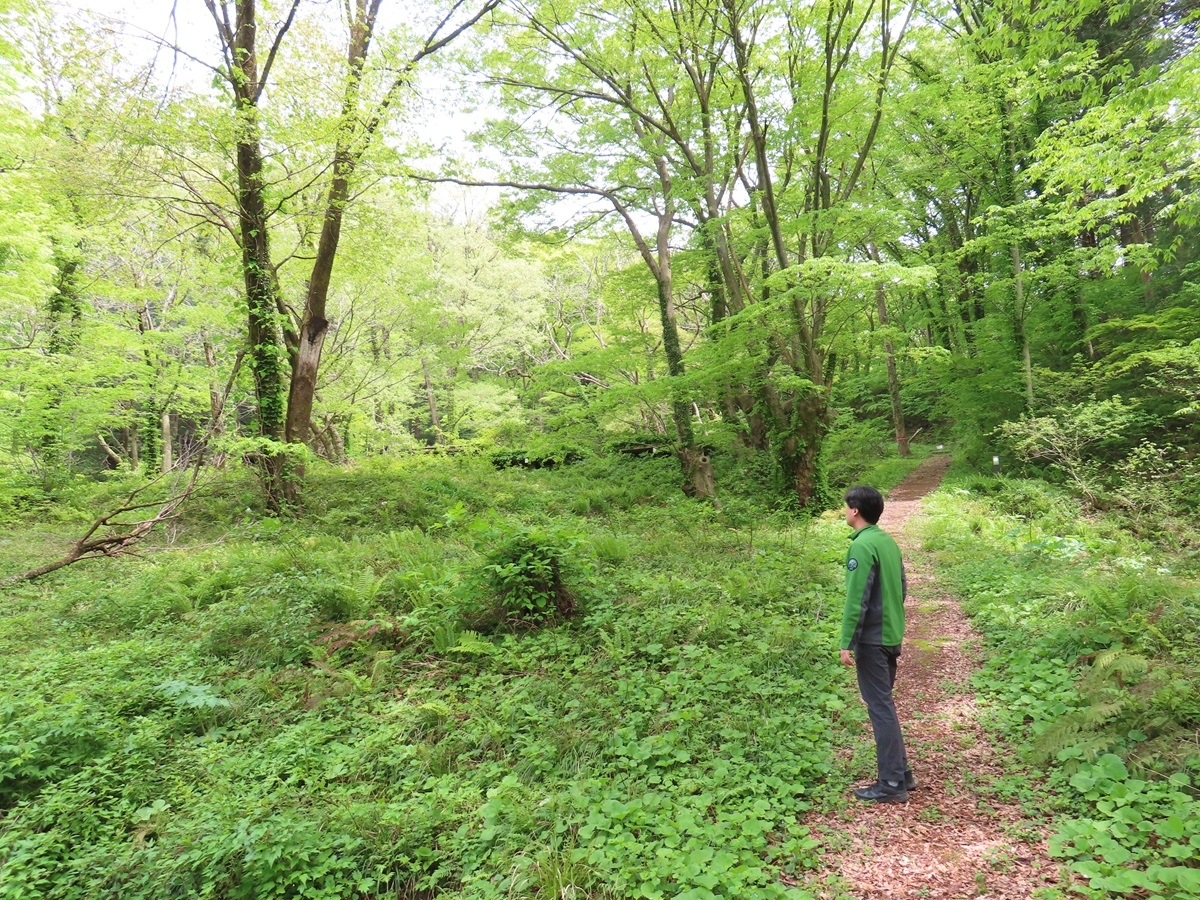 鷹ノ巣