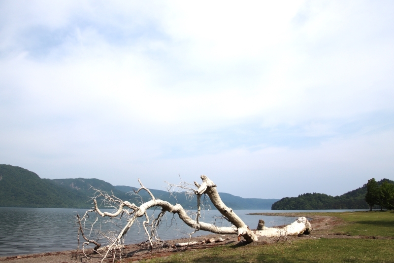 浜