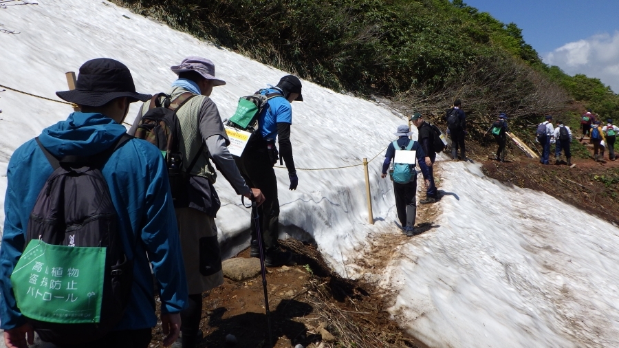 山