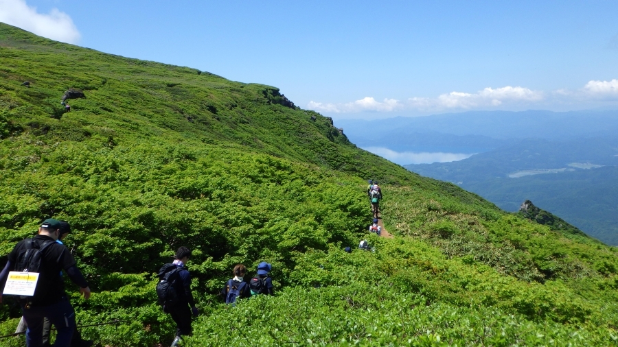 山