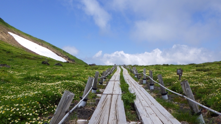 山