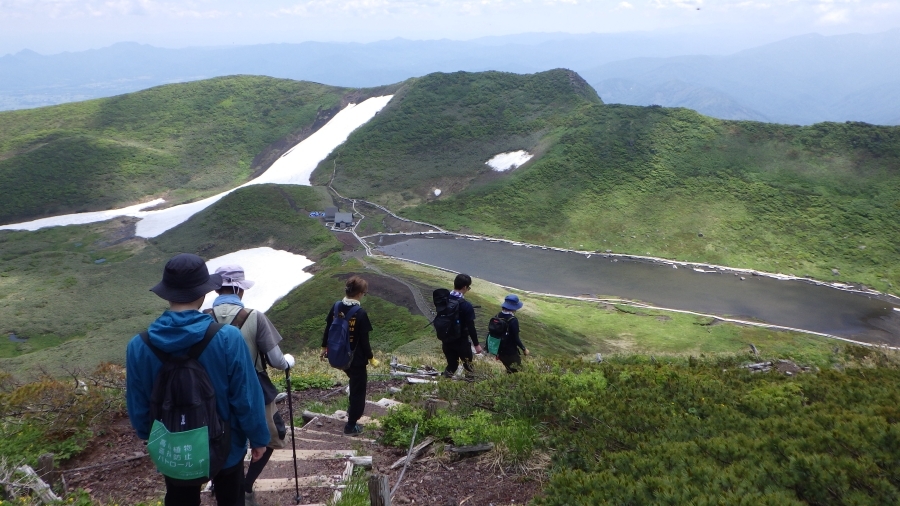 山